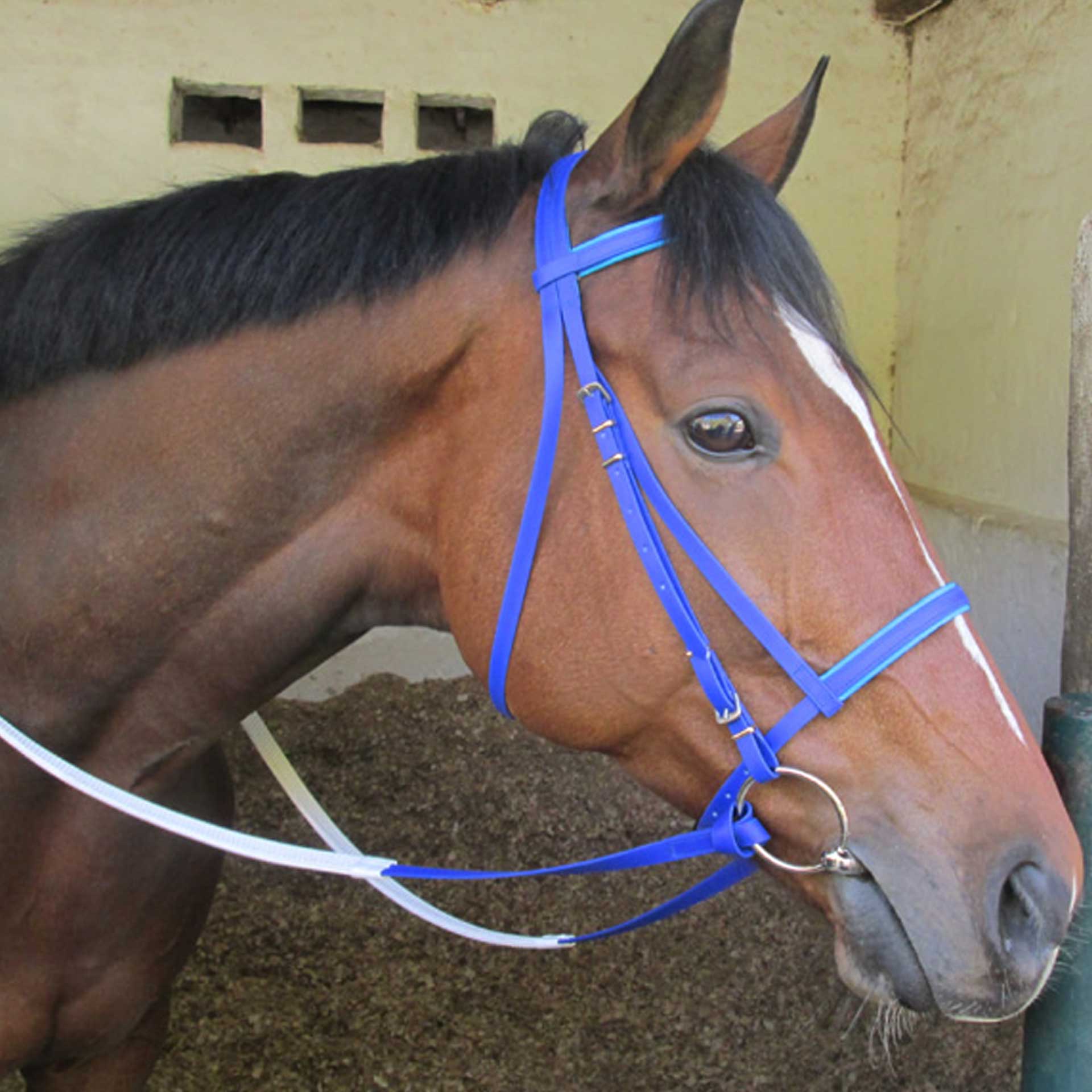 Bridle Biothane Caveson Noseband + Reins Solo